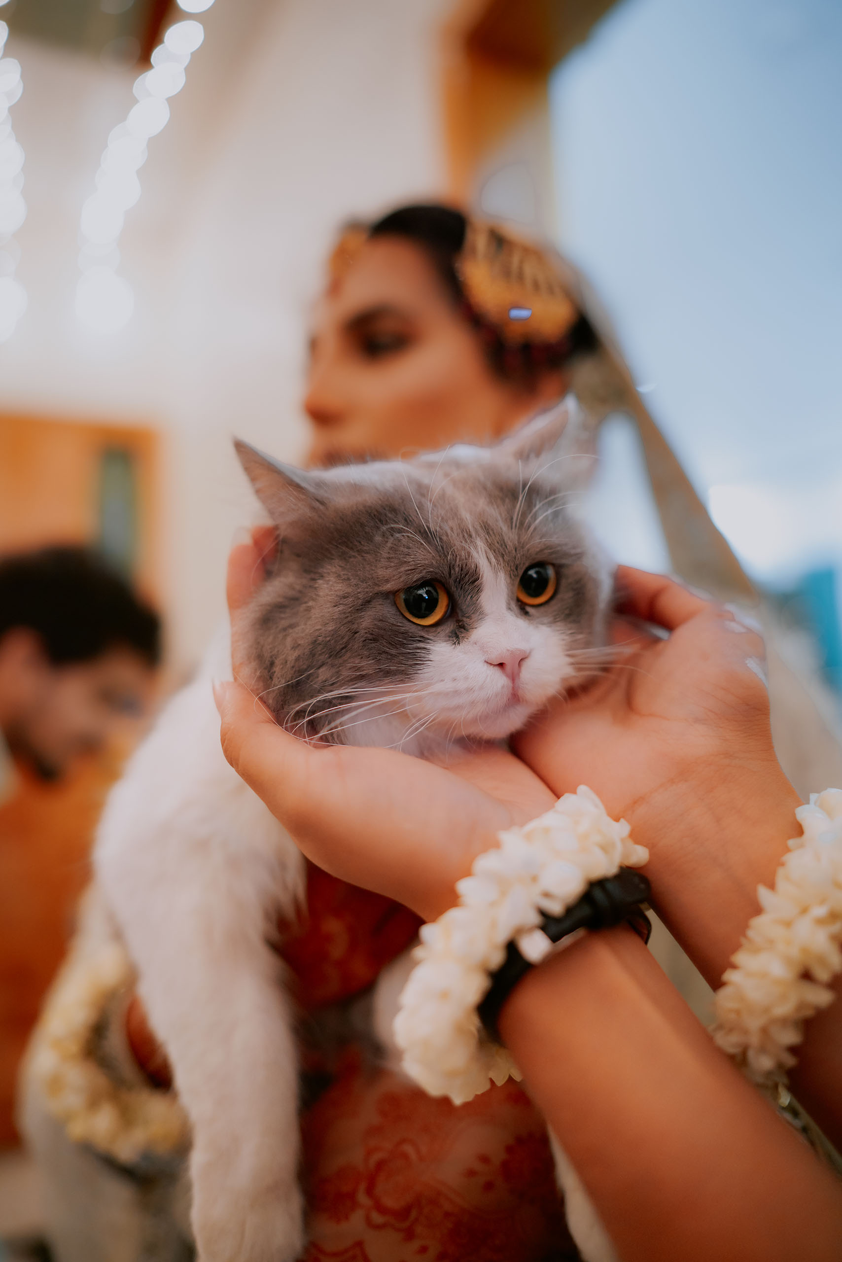 weddingco8